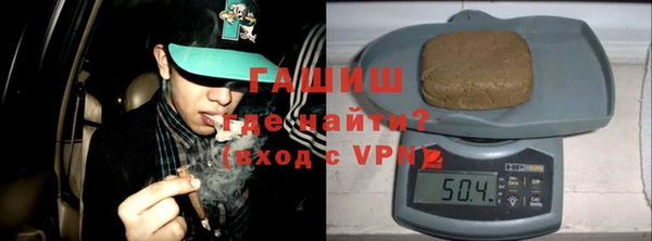 хмурый Аркадак