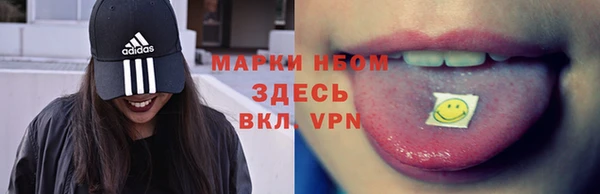 хмурый Аркадак