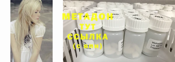 хмурый Аркадак