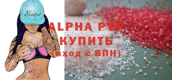 хмурый Аркадак