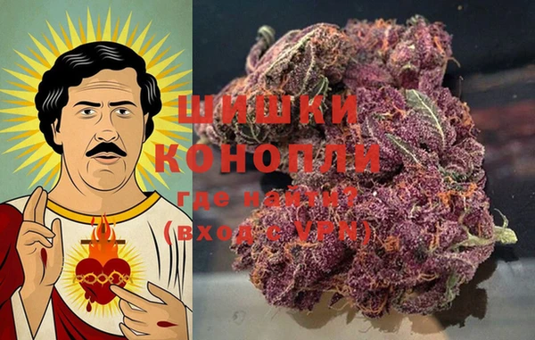 хмурый Аркадак