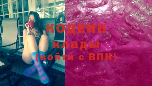хмурый Аркадак