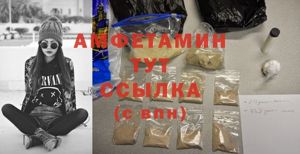 хмурый Аркадак
