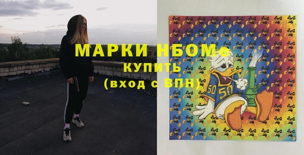 хмурый Аркадак