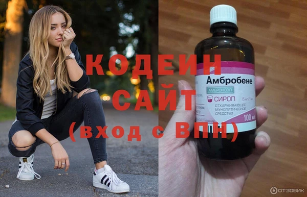 хмурый Аркадак