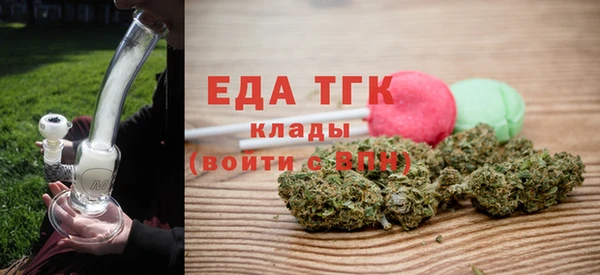 хмурый Аркадак