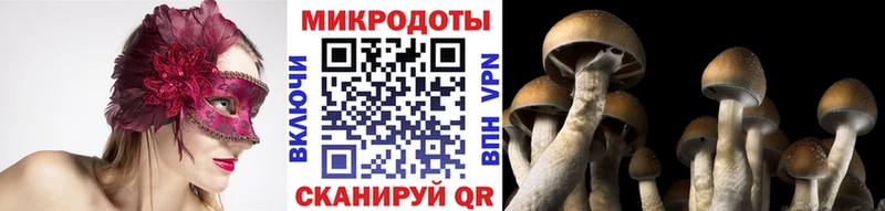 Галлюциногенные грибы Magic Shrooms  Венёв 